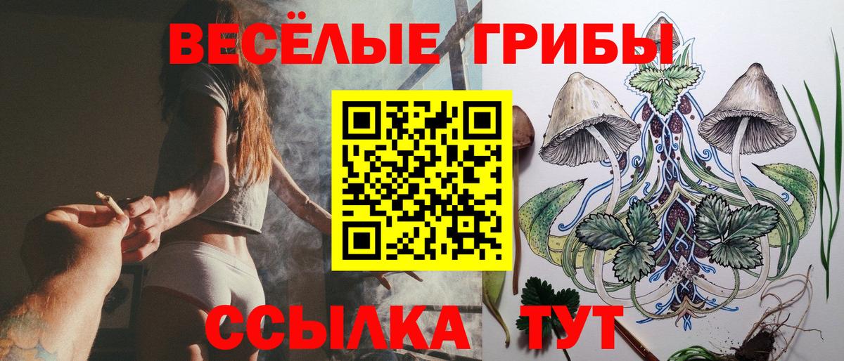 Псилоцибиновые грибы GOLDEN TEACHER Осинники