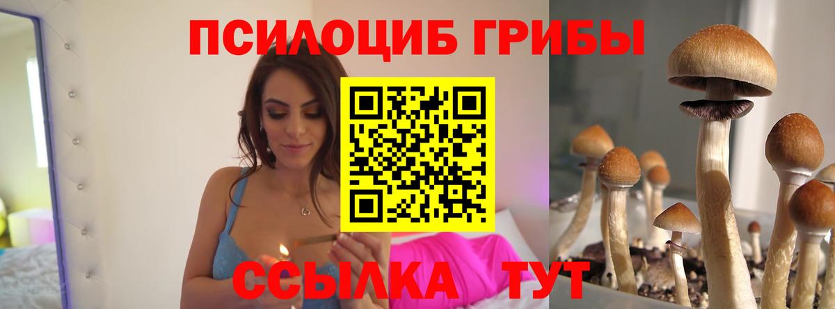 Осинники  хочу наркоту  Вход с VPN  Псилоцибиновые грибы прущие грибы 